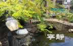 photo10